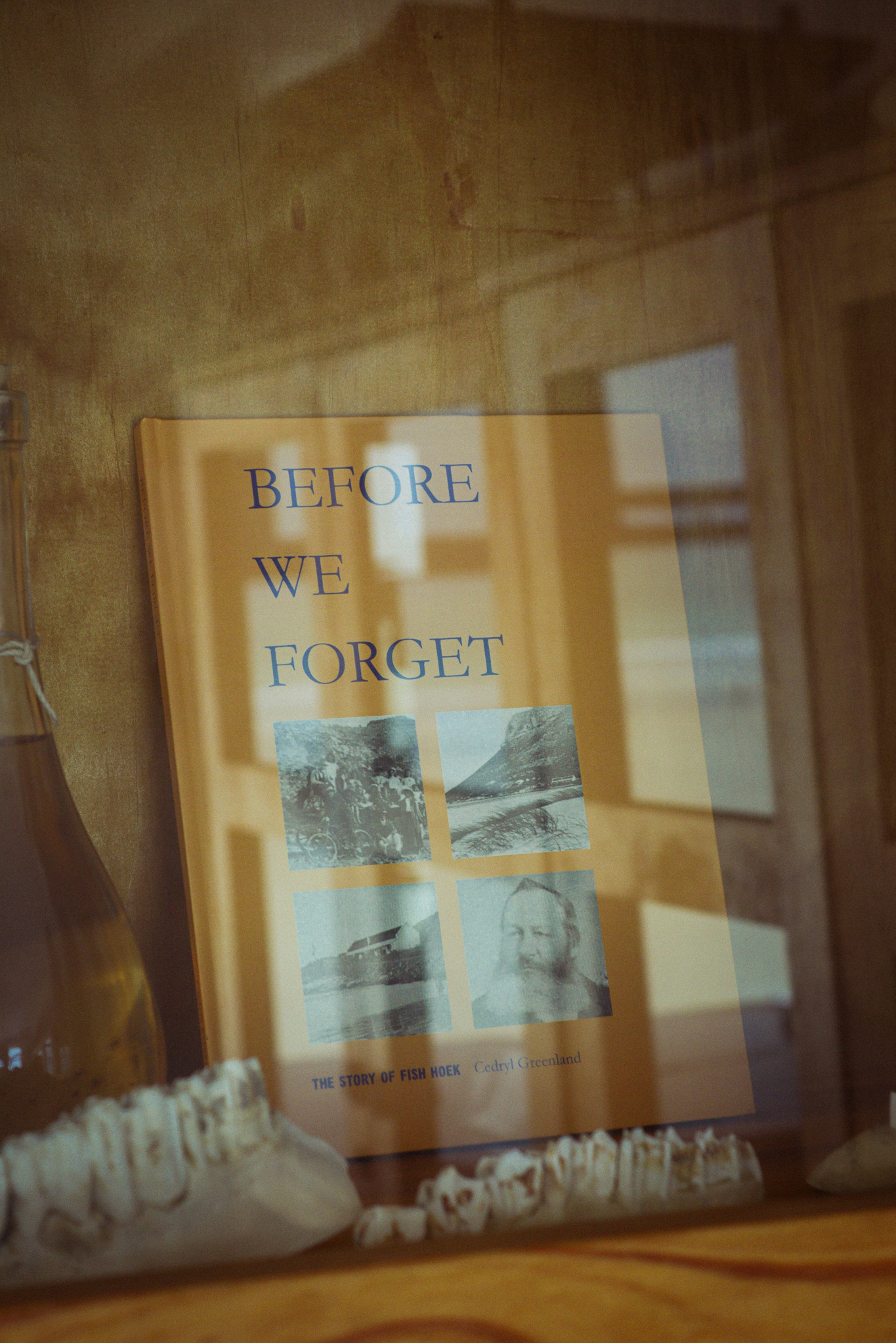 Image of Book called Before We Forget